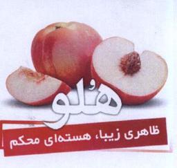 Logo شرکت طرفه نگار